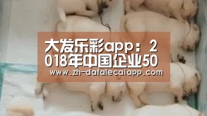 大发乐彩app:2018年中国企业500强排行榜出炉 入围门槛首次破300亿元(图1) 大发乐彩app