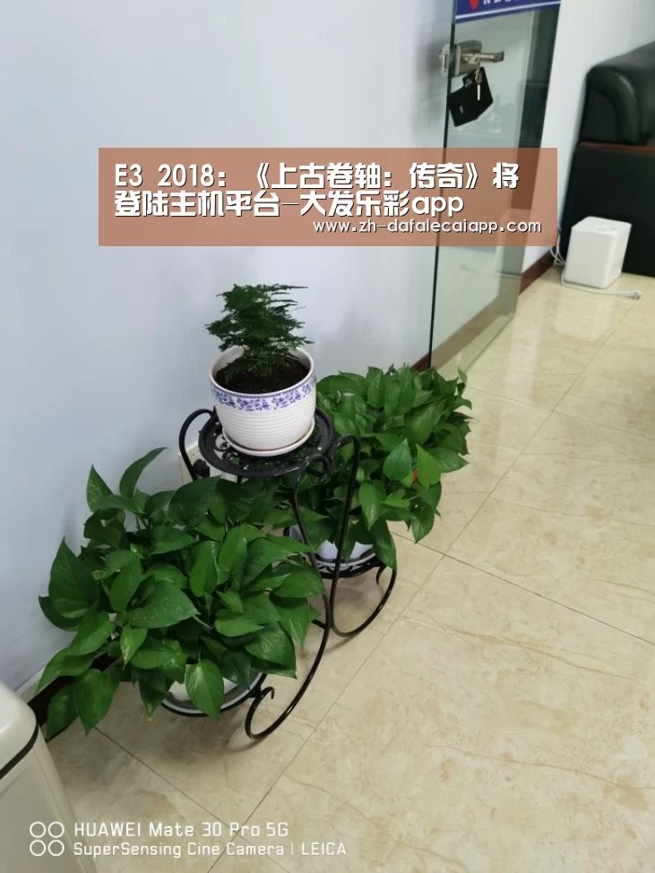 大发乐彩app