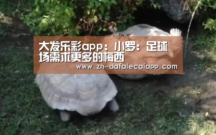 大发乐彩app
